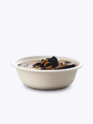 Eco-Friendly Disposable Bagasse Bowls β 350 ml, 50 Pack