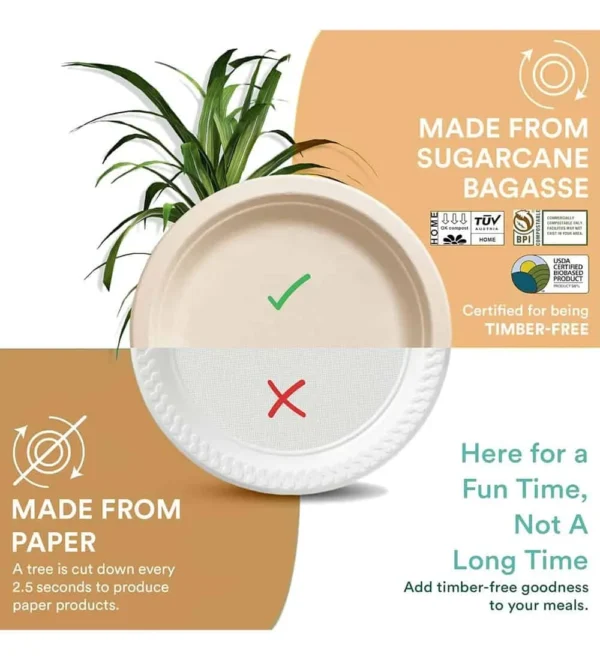 Eco-Friendly Disposable Bagasse Bowls – 350 ml, 50 Pack